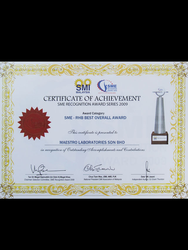 SME Best Overall Award in 2009