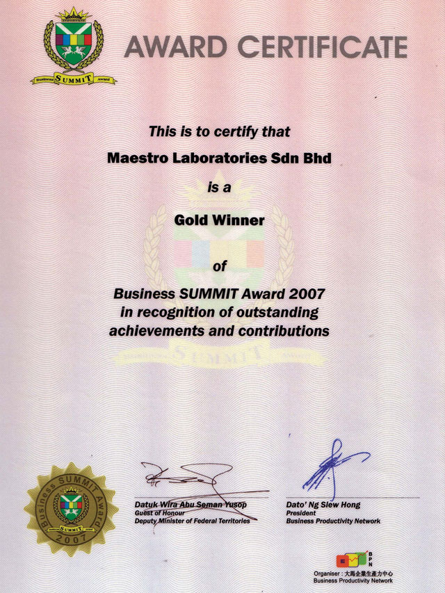 Business SUMMIT Award in 2007