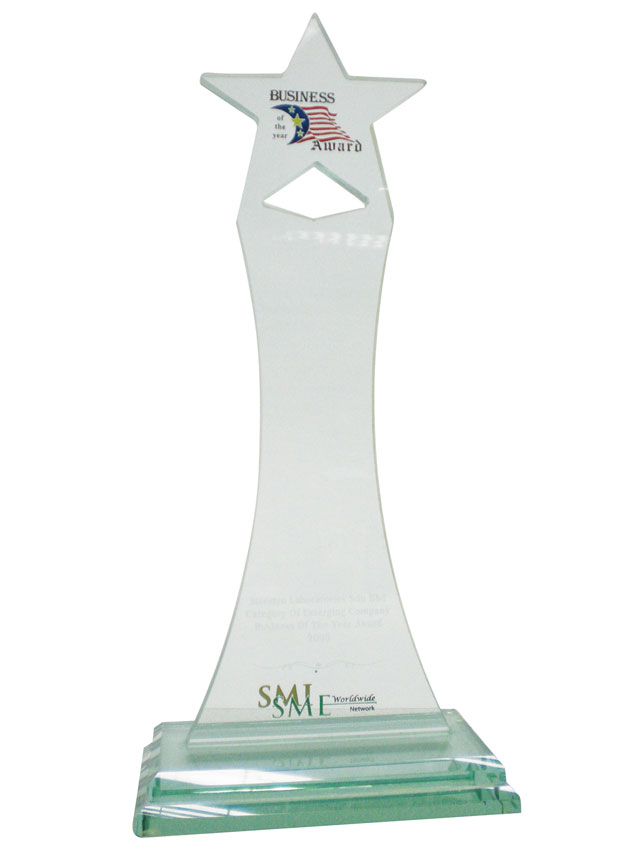 Award for the category of Emerging Company in 2006