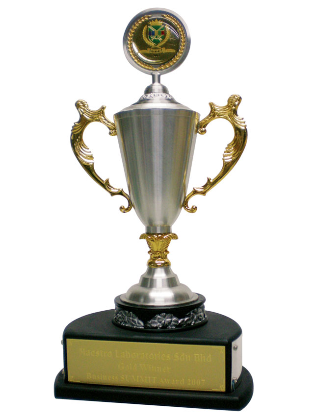 Business SUMMIT Award in 2007